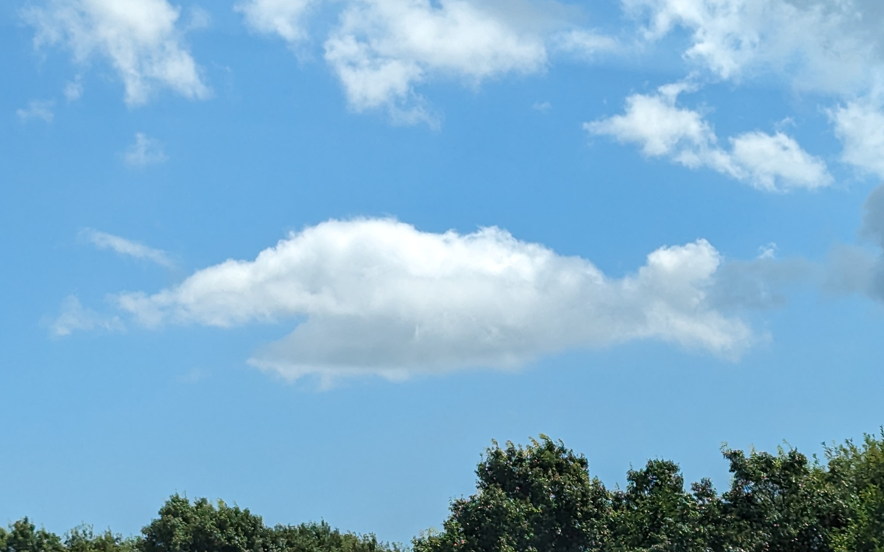 魚の形に似ている雲