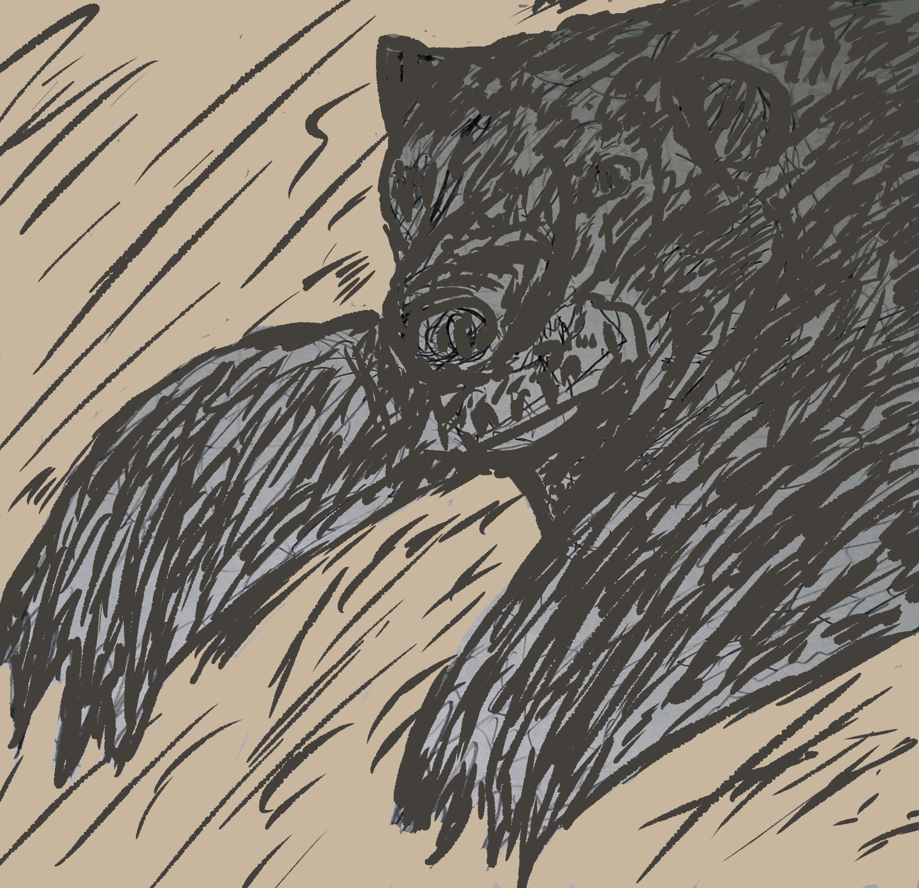 image-7/thumbnail2.jpg